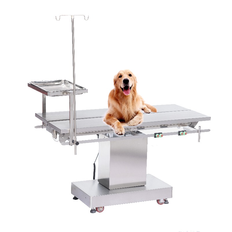 Pet Supplies Vet Clinic - 2026 Veteriner Muayene Masası Hayvan Hastanesi