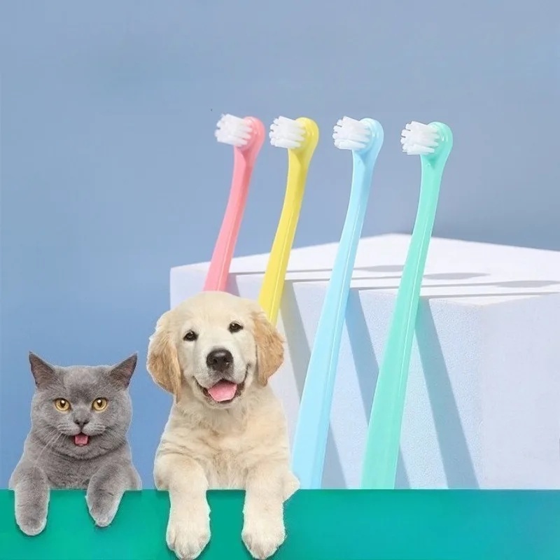 Köpek Diş Fırçası Köpek Diş Te - Pet Supplies Dog Food incelemesi ve fiyatı