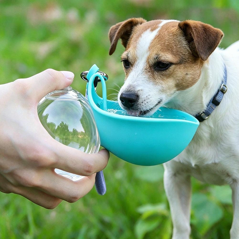 285ml Silikon Evcil Hayvan İçm - Pet Supplies Dog Food incelemesi ve fiyatı